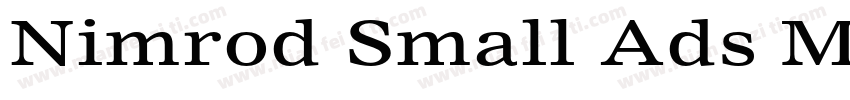 Nimrod Small Ads MT W00 Ext字体转换